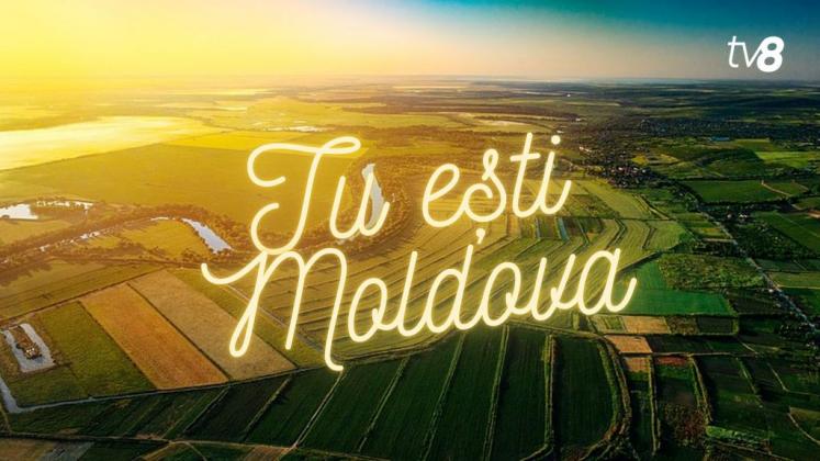 Tu ești