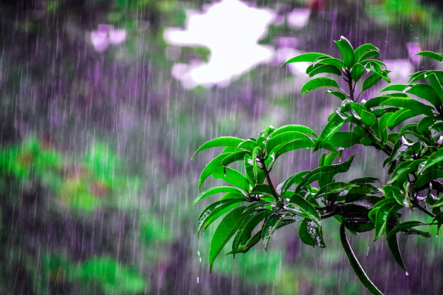 ploaie meteo