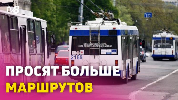 transport