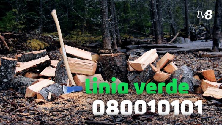 Linia verde