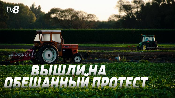Protest Agricultori