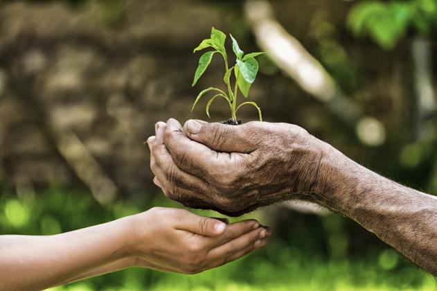© Jane Goodall Institute