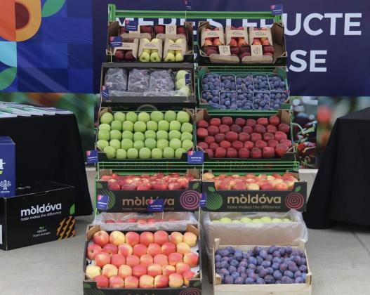 fructe moldovenești foto facebook USAID