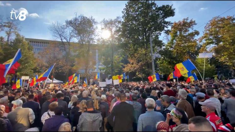 protest