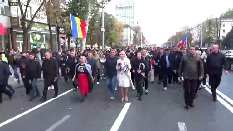 tauber protest