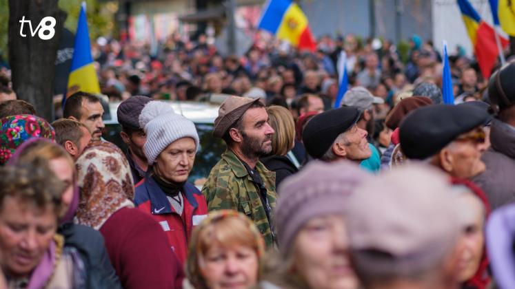 Protest Șor 15