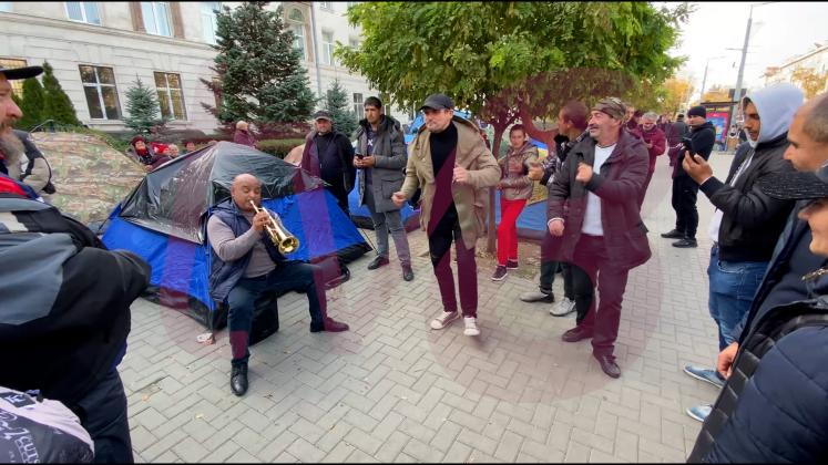 dansuri pentru tauber la protest pg