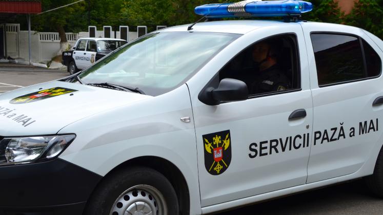 Servicii Pază MAI