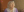 Вековая история жизни: Любовь Туицына из Кишинёва отметила 100-летний юбилей