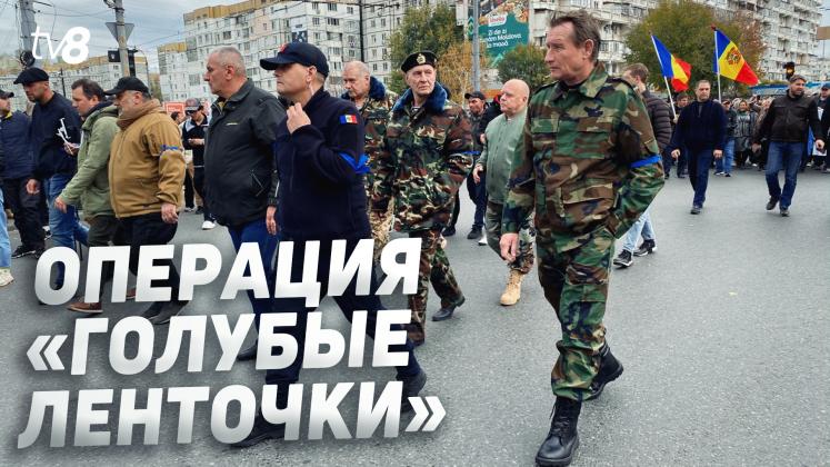 Investigație