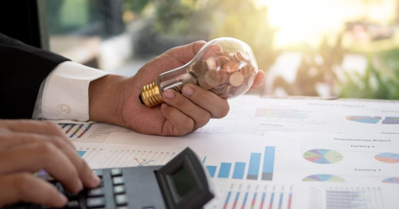 economie energie lei preț lumină electrică