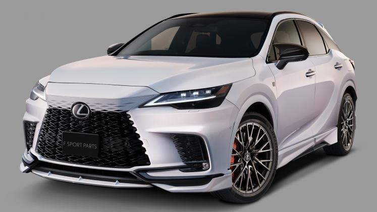 Lexus RX F Sport Parts_1