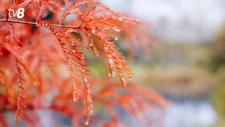 Meteo 3