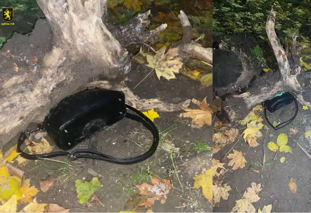 Captură de ecran 2022-11-25 132924