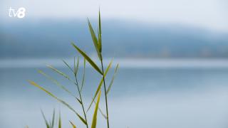Туманное утро, пасмурный день. Прогноз погоды на сегодня, 11 декабря