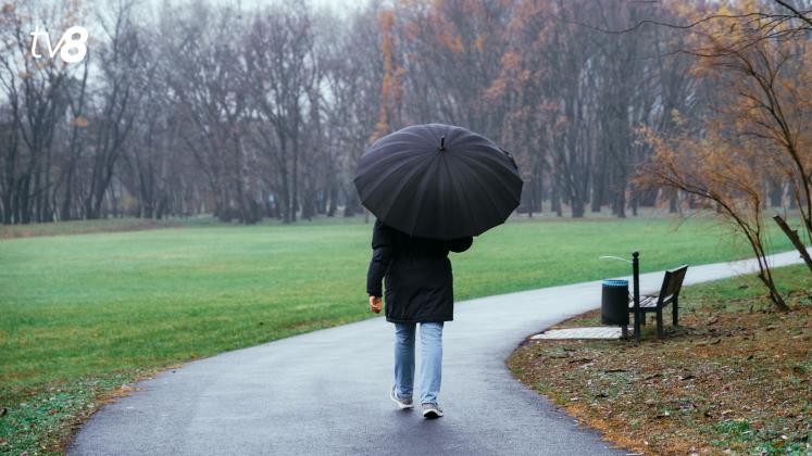 Meteo ploaie