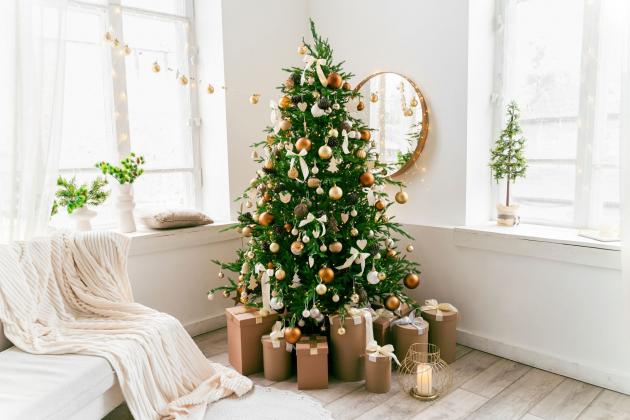 types-of-christmas-trees-1666310586