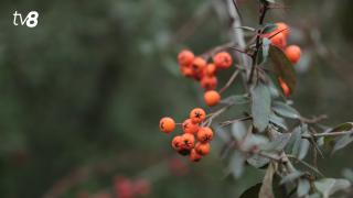 Мороз крепчал. Прогноз погоды сегодня, 1 февраля