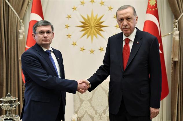 grosu erdogan