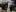 Un nou lot din 16 camioane cu lemne de foc a ajuns în R. Moldova: Care sunt primăriile unde va fi distribuit