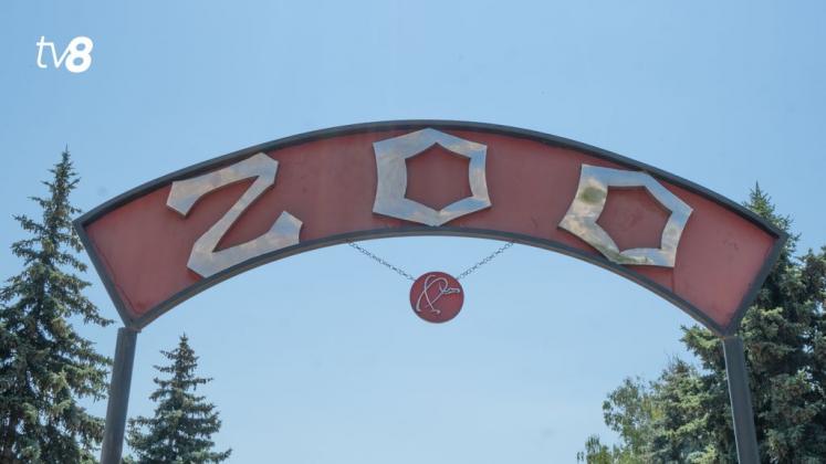 zoo (2)