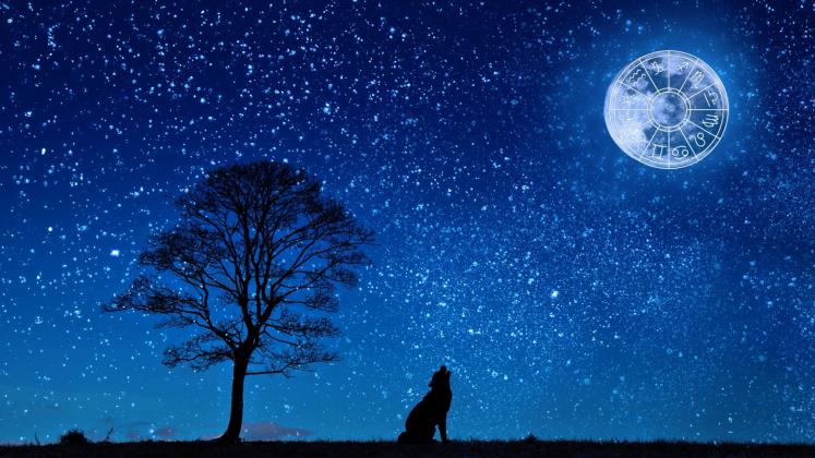 horoscop
