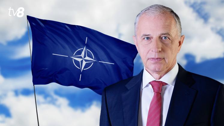 Mircea Geoana NATO