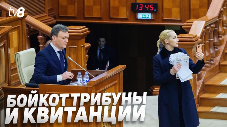 Recean Tauber Parlament