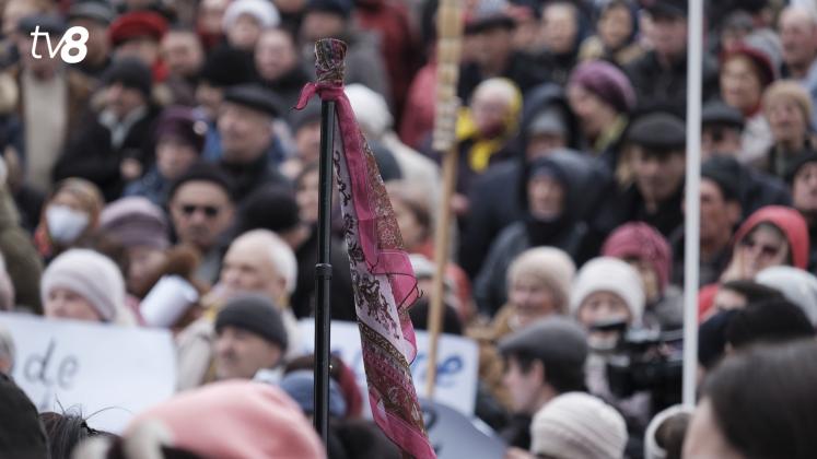 protest Șor