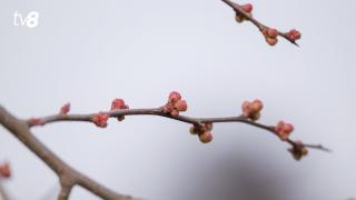 /HARTĂ/ Avertizare meteo: Cod galben de schimbare bruscă. Cât de mult se răcește în toată Moldova