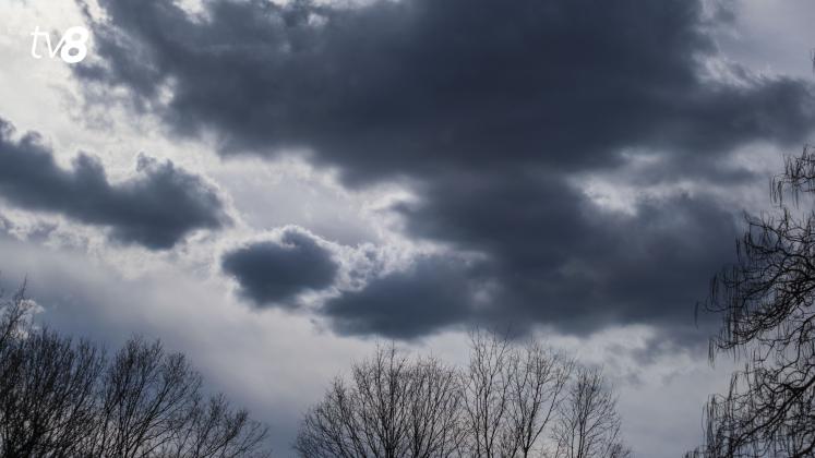 Meteo ploaie noros