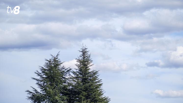 Meteo nori noros