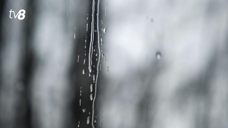 Meteo Ploaie 5