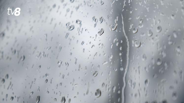 Meteo Ploaie 4