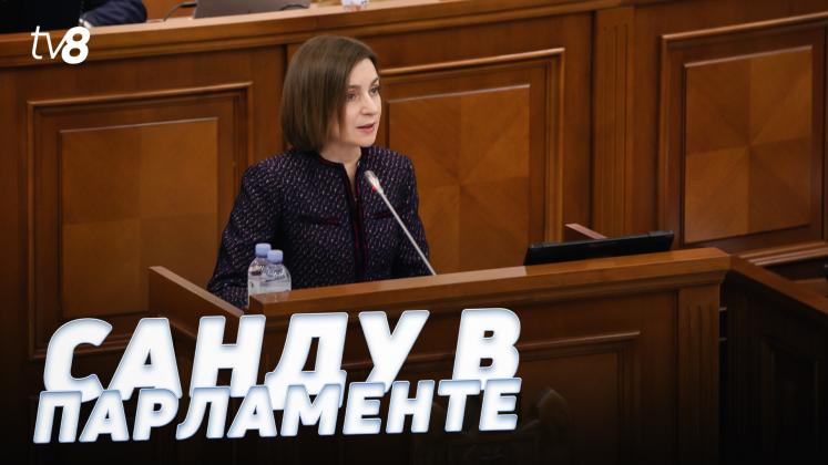 MAIA PARLAMENT ru