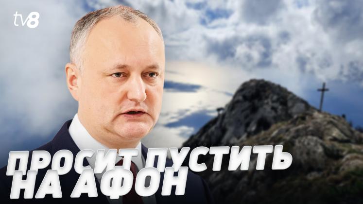 DODON ru