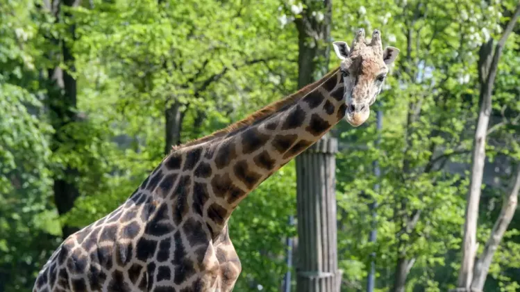 10804294-scaled-e1680012821441