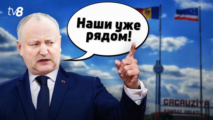 Dodon