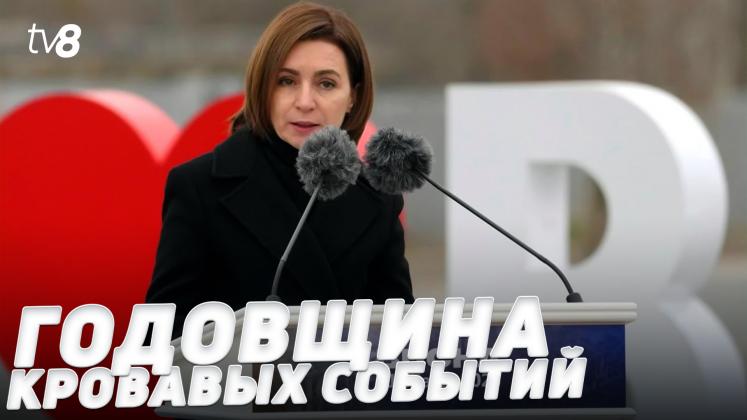 MAIA BUCEA ru