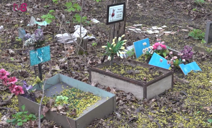 cimitir animale