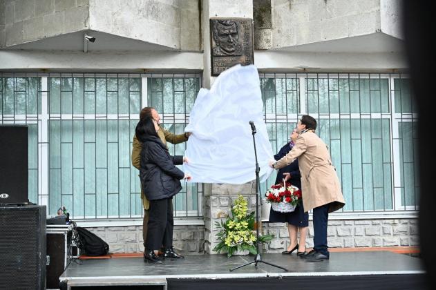 petre teodorovici placa