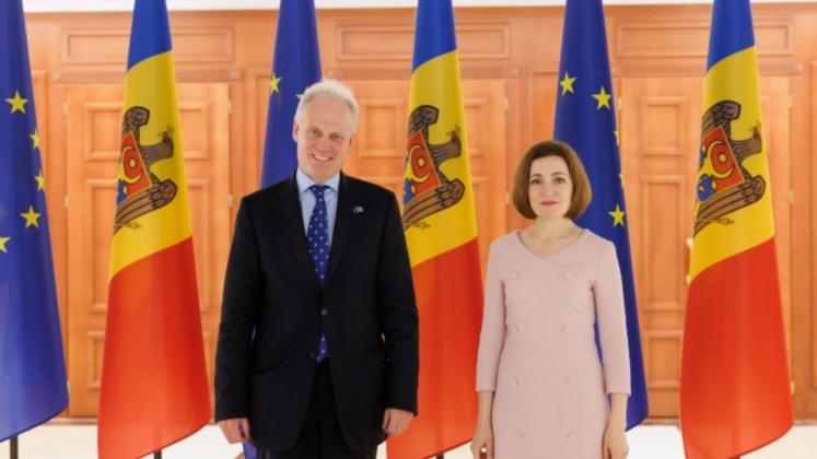 Design fără titlu (16)