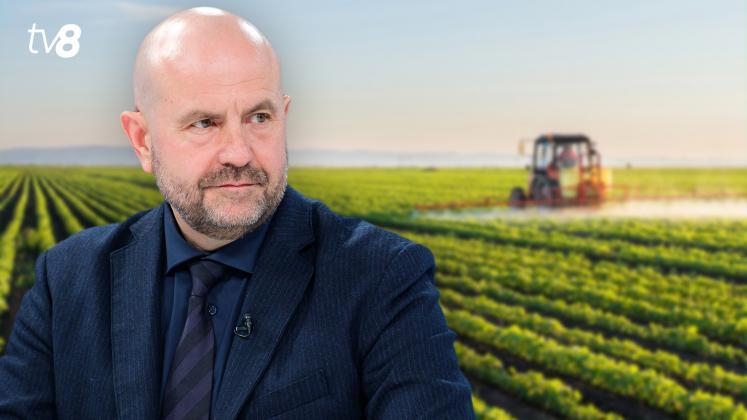 Bolea Agricultura