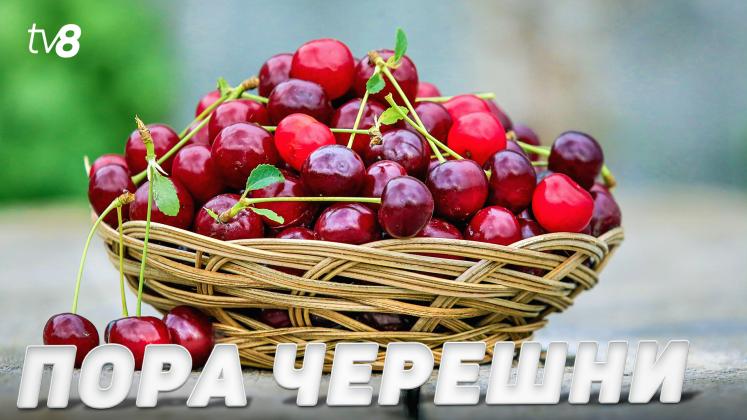 LIVADĂ CIREȘE ru