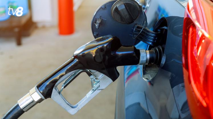 carburanti peco benzina(2)