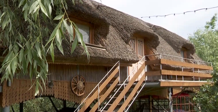 Bungalo