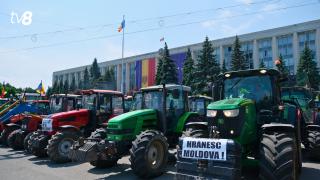/VIDEO/ Protest anunțat de fermieri la Guvern: Agricultorii au 3 cerințe urgente