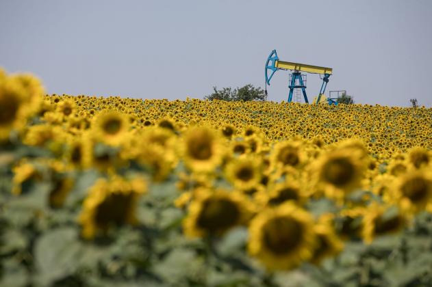 omv-petrom