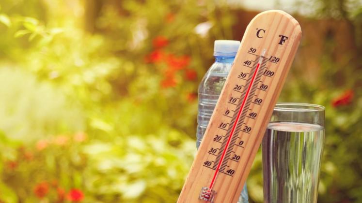caniculă