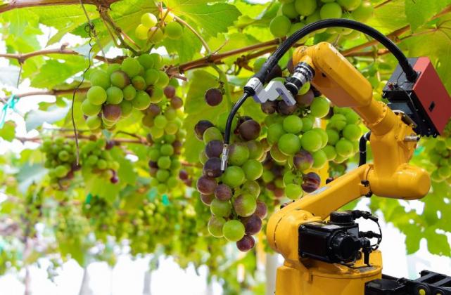 Future-Wine-Expo-10242019102536000000-5db17c200d7eb